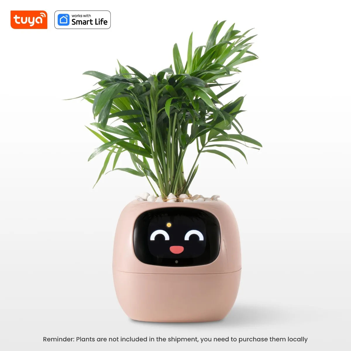 Pflanzenbuddy Happy Ivy™