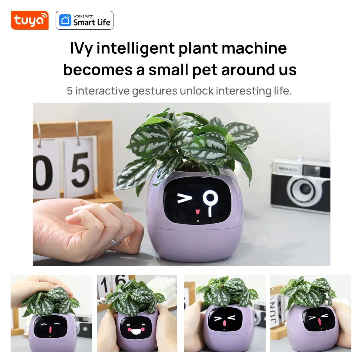 Pflanzenbuddy Happy Ivy™