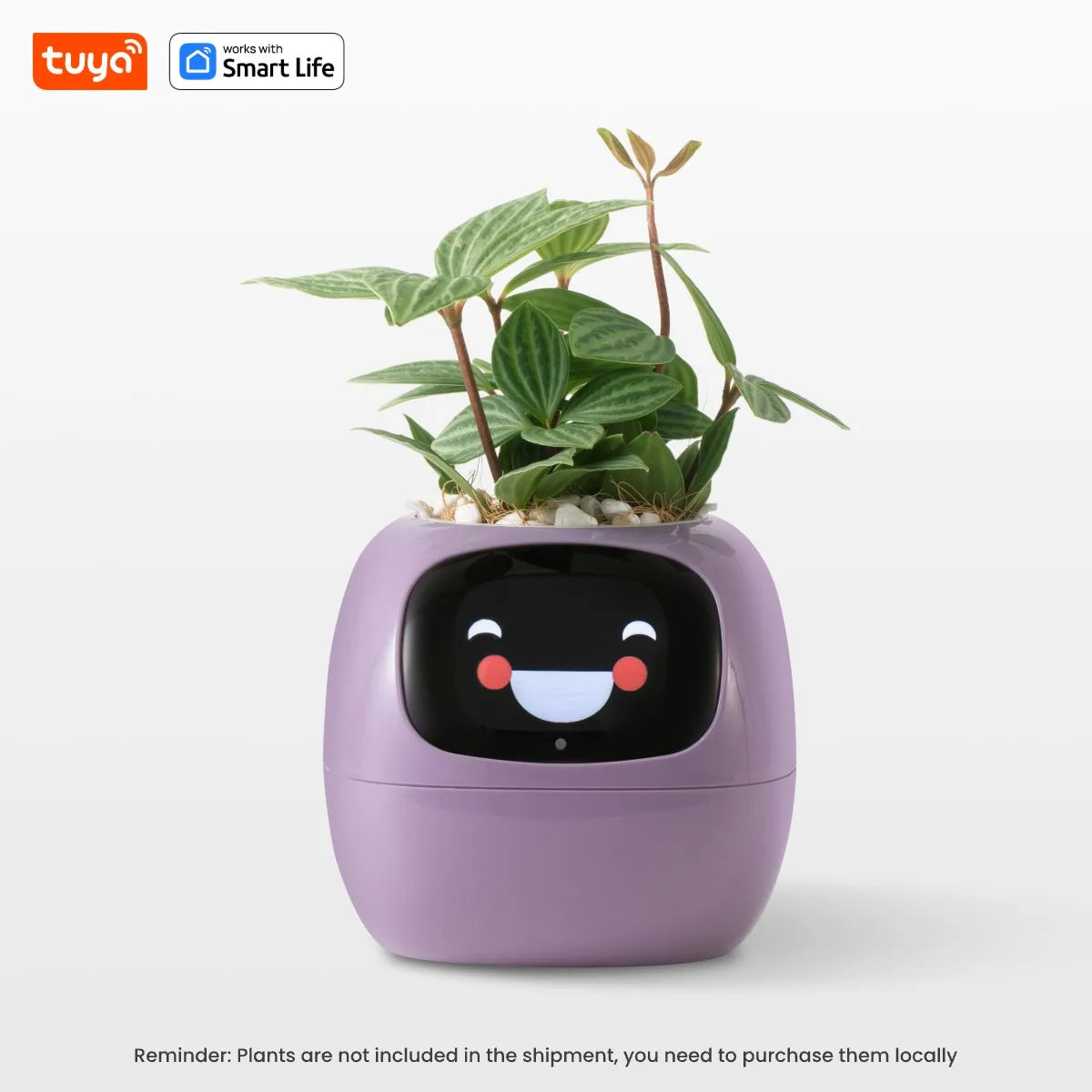 Pflanzenbuddy Happy Ivy™