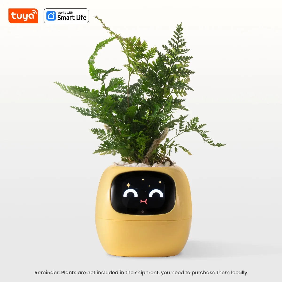 Pflanzenbuddy Happy Ivy™